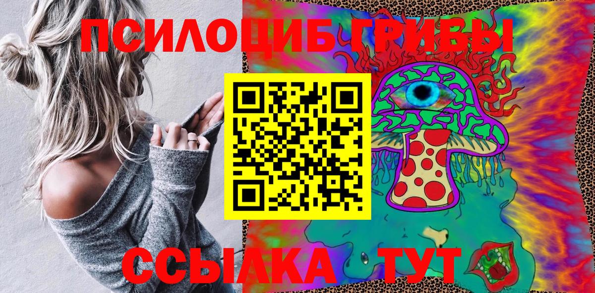 Узловая  Галлюциногенные грибы Psilocybine cubensis  Вход с VPN 